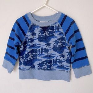 Hanna Andersson Crewneck Sweatshirt